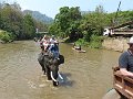 Chiang Mai P0216 Maetaman Elephant Camp